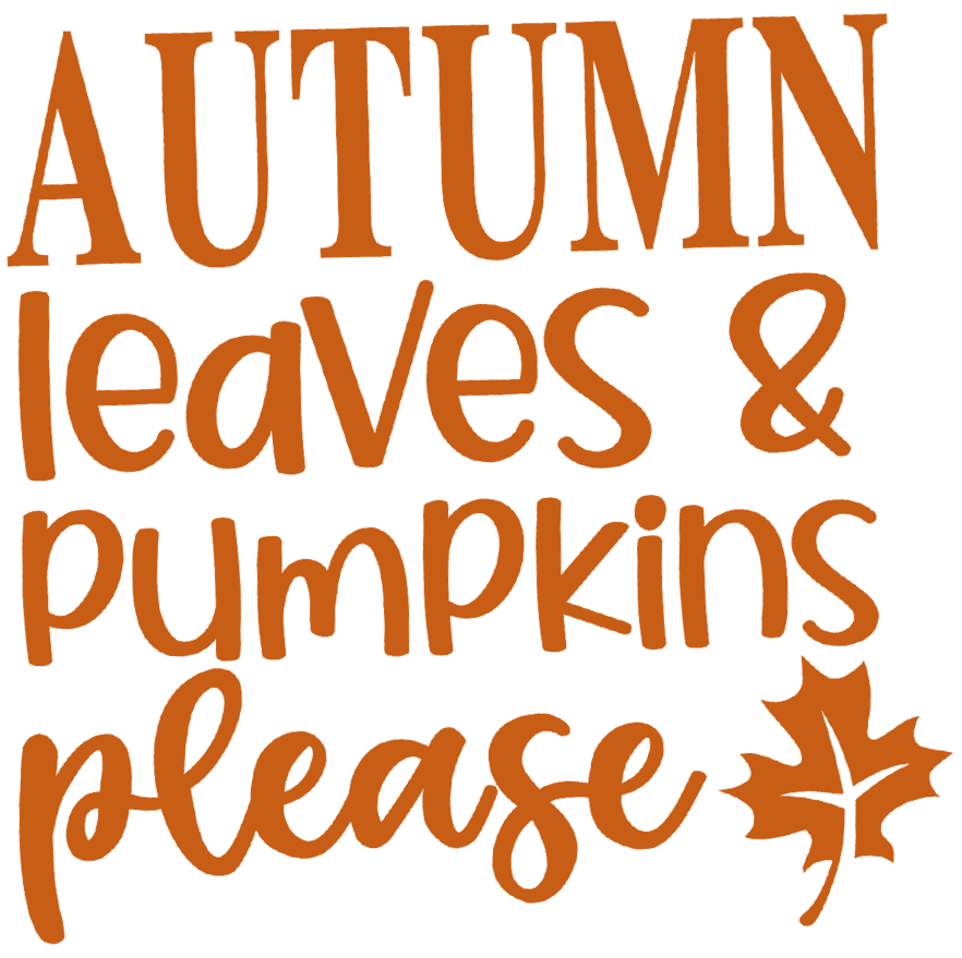 Hey There Pumpkin DTF Transfer | Fall Autumn Graphic Shirt Print | Cozy Thanksgiving Sweatshirt Design | Pumpkin Spice Season Tee