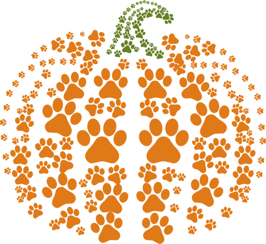 Paw Print Pumpkin DTF Transfer | Dog Cat Lover Halloween Shirt Print | Pet-Themed Fall Design | Animal Lover Autumn DTF Transfer